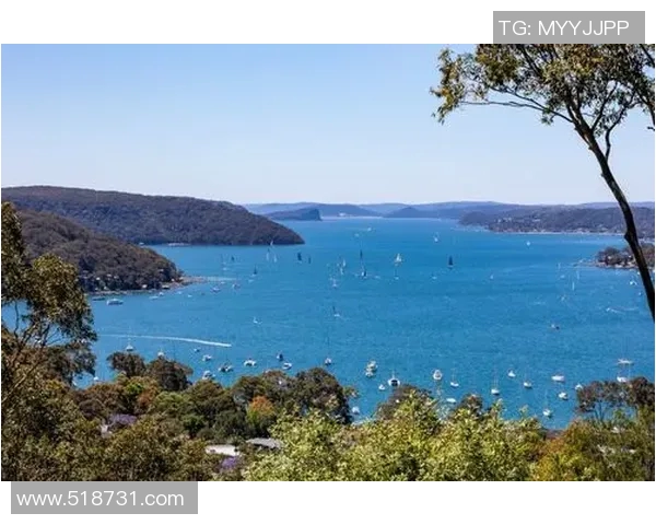 巴黎足球明星风采全景展示尽览球场上的璀璨瞬间与荣耀时刻